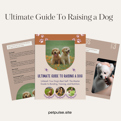 Ultimate Guide To Raising a Dog