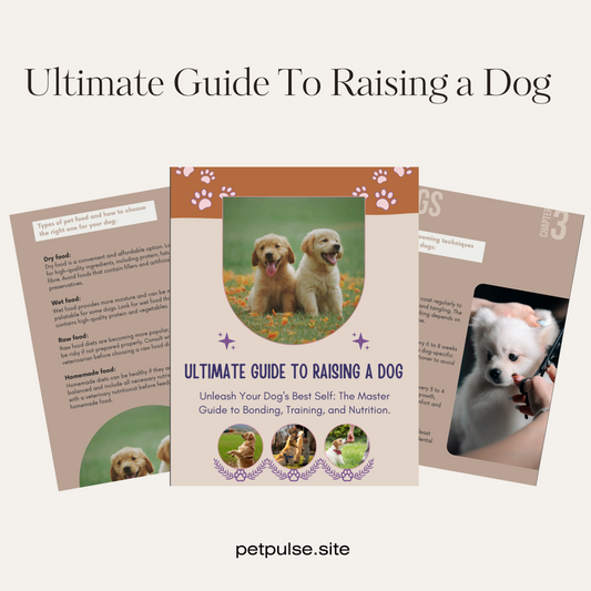 Ultimate Guide To Raising a Dog