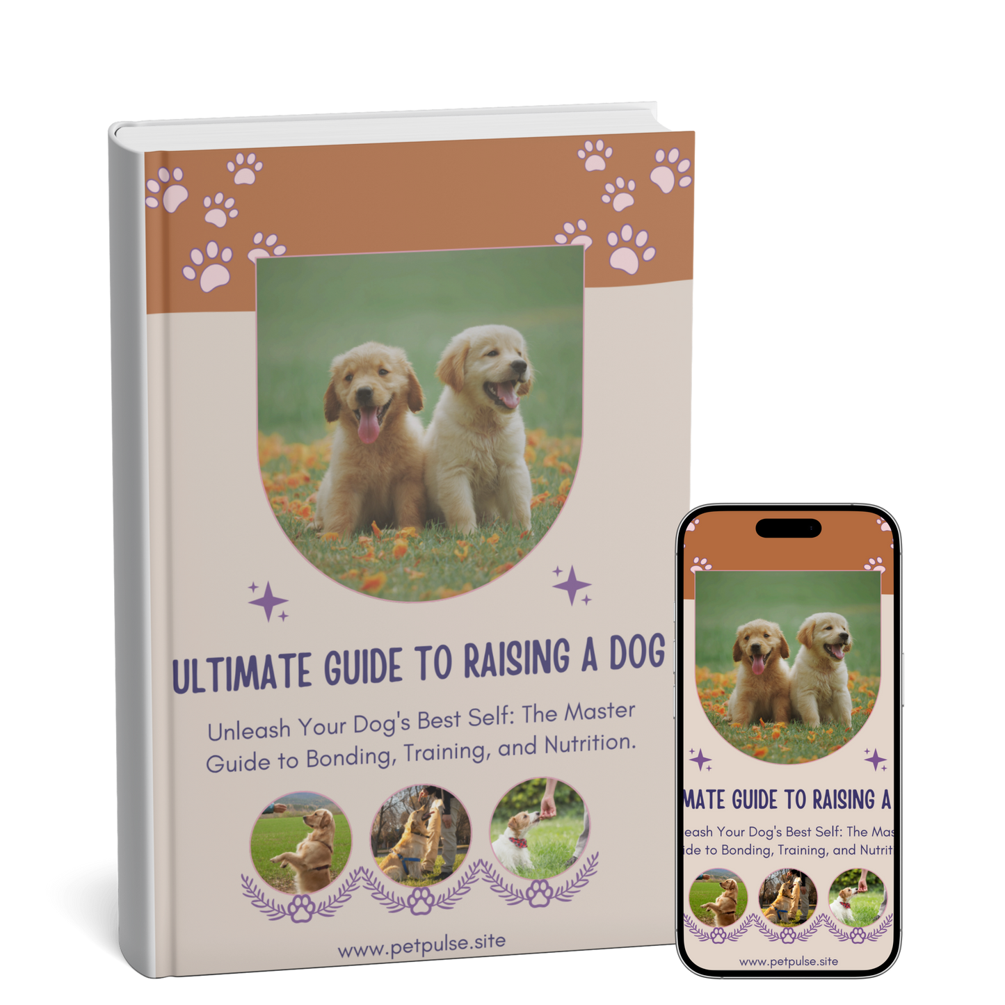 Ultimate Guide To Raising a Dog